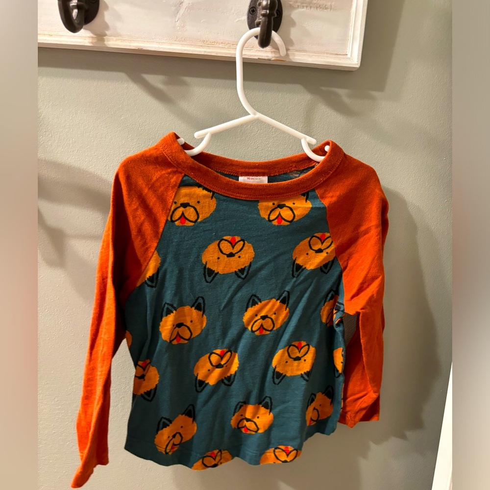 Hanna Andersson long sleeve tee.